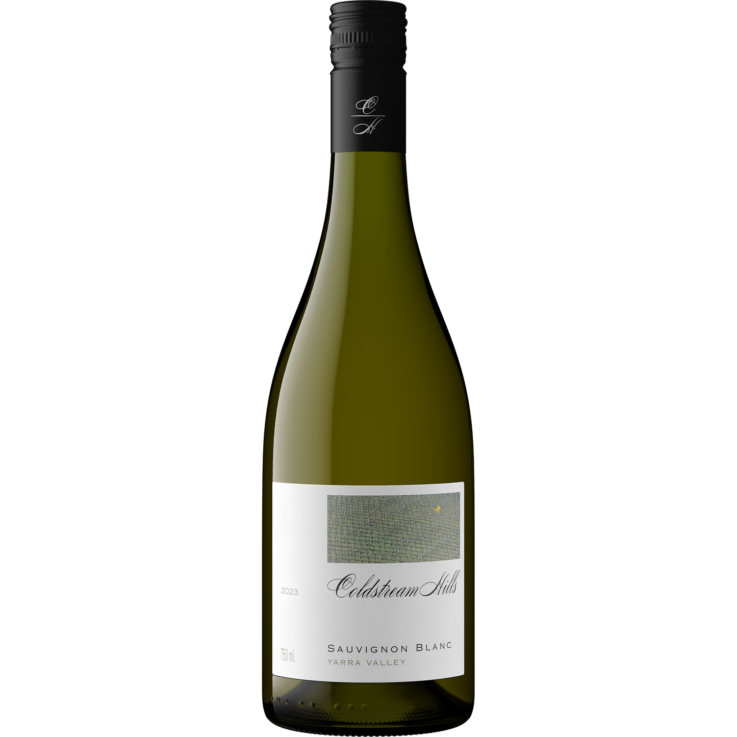 2024 Coldstream Hills Yarra Valley Sauvignon Blanc